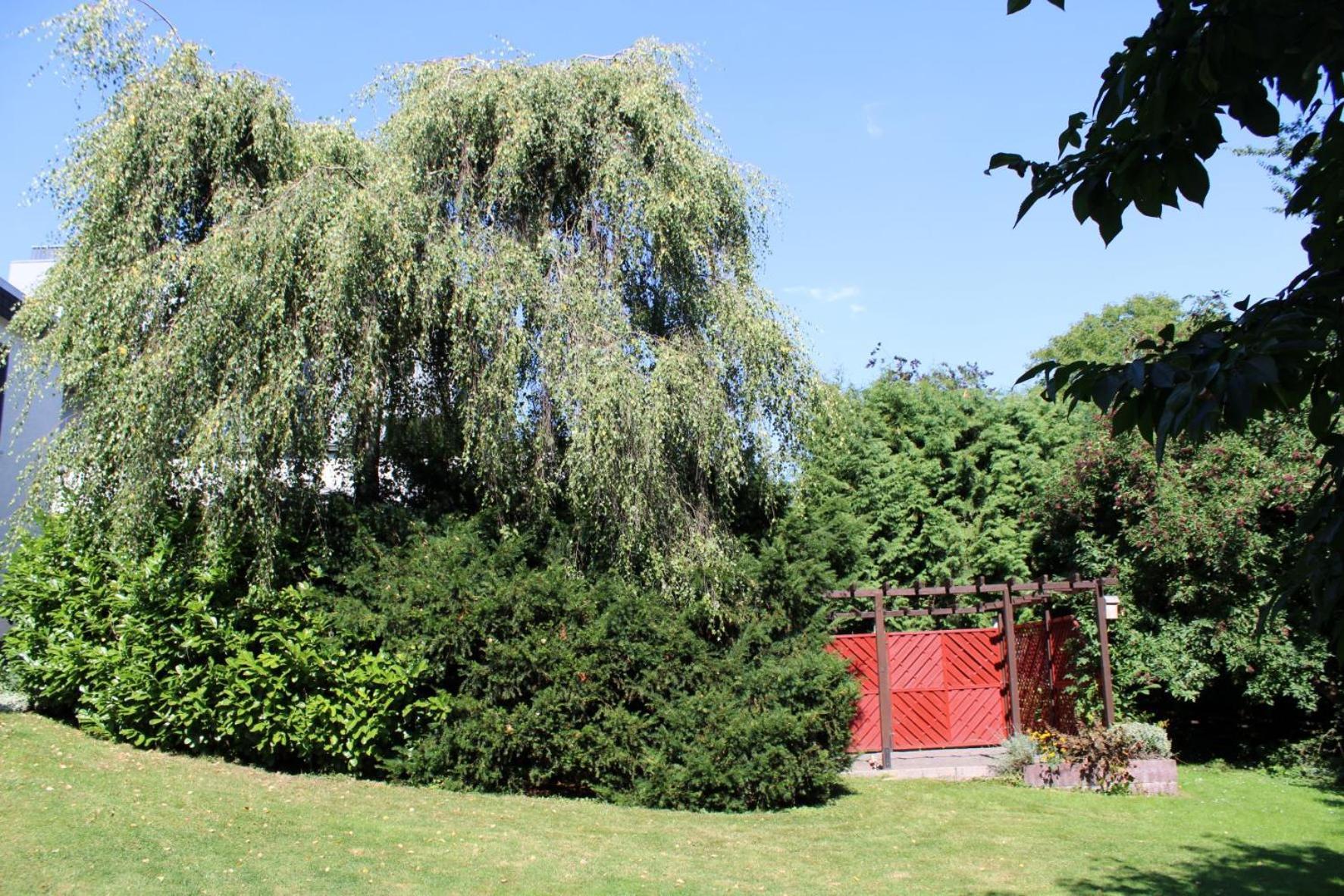 Ferienwohnung Moehneblick Möhnesee Exteriér fotografie
